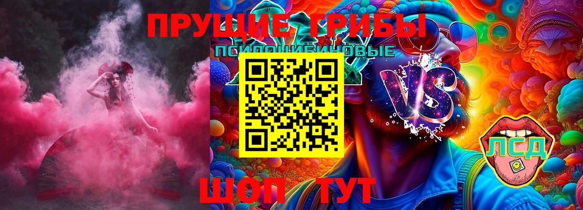 закладки  Галлюциногенные грибы мицелий  Вход с VPN  Котлас 