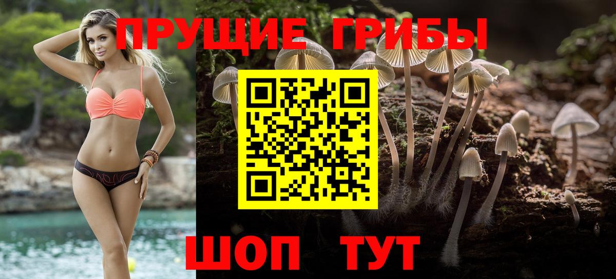 ГАШ Котлас